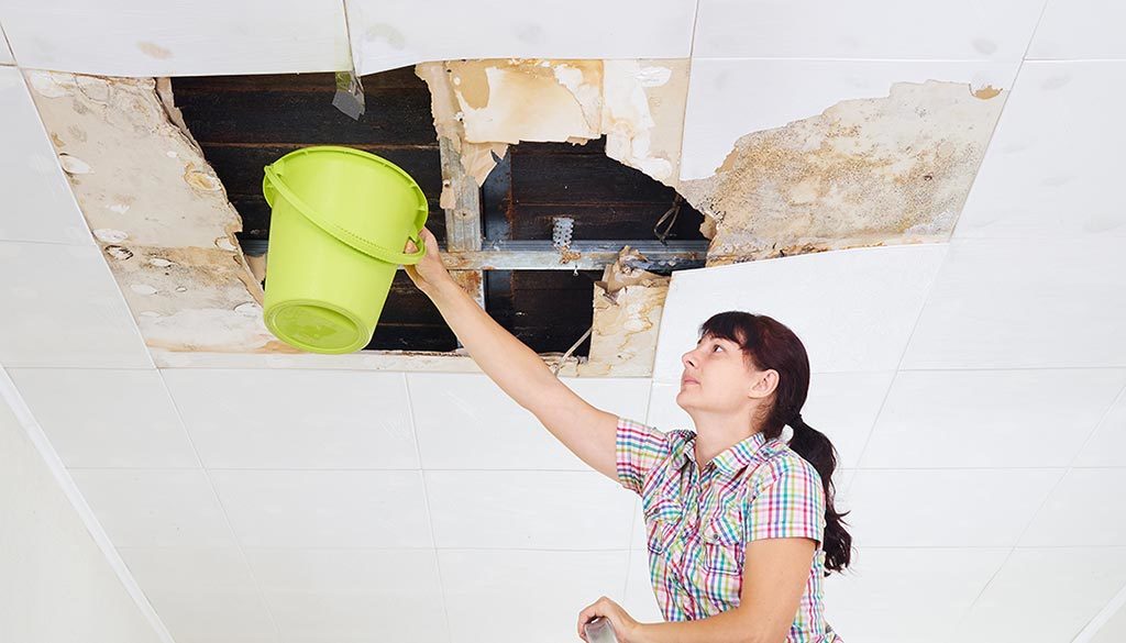 Best Water Damage Restoration Tips For Quick Recovery